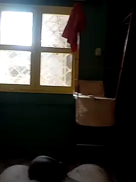 Snapshot of Roberto27052 chatting on October 29, 2025, 3:47 pm Roberto27052 online show from October 29, 2025, 3:47 pm