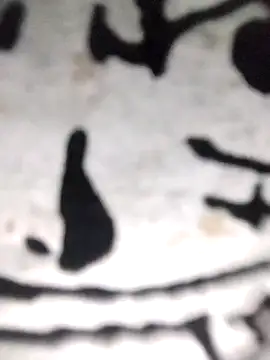 PEEHU-50 online show from November 21, 2025, 12:10 am