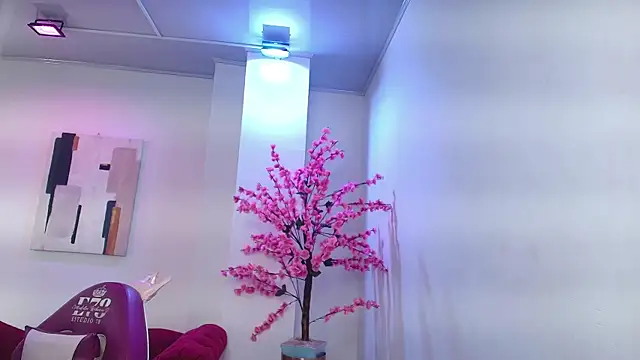 Gabriela milani online show from December 3, 2025, 11:41 am