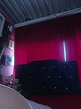 Snapshot of lizethavila chatting on March 2, 2026, 8:59 pm lizethavila online show from March 2, 2026, 8:59 pm