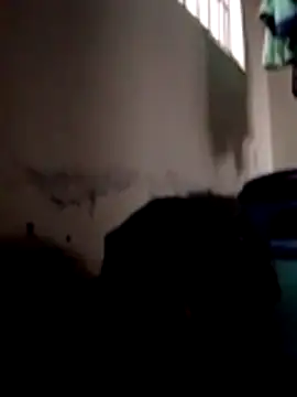 Snapshot of ibusserd chatting on November 24, 2025, 6:24 am ibusserd online show from November 24, 2025, 6:24 am