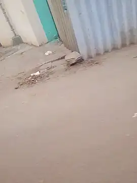 Snapshot of ibusserd chatting on November 27, 2025, 6:26 am ibusserd online show from November 27, 2025, 6:26 am