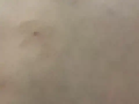 Snapshot of pleasedontpressaredburton chatting on February 28, 2026, 3:29 am pleasedontpressaredburton online show from February 28, 2026, 3:29 am