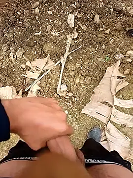 Sikici0734 online show from April 1, 2026, 11:33 am