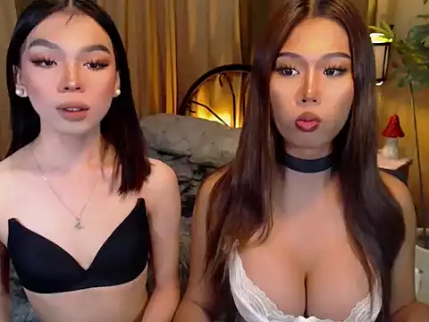 Snapshot of TWINKTRANSSHANEL chatting on October 9, 2025, 4:21 am TWINKTRANSSHANEL online show from October 9, 2025, 4:21 am