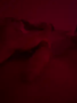 nieonixpeek19 online show from February 2, 2026, 9:13 pm