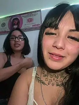 Snapshot of amatista7768 chatting on May 20, 2026, 3:24 am amatista7768 online show from May 20, 2026, 3:24 am
