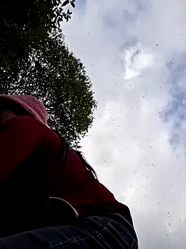 miomio-12 online show from December 20, 2025, 2:29 am