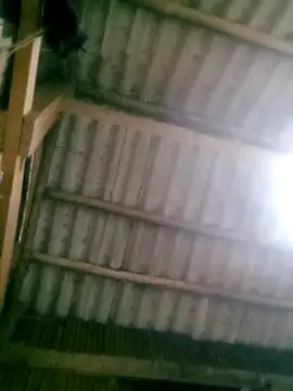 Snapshot of Ducky27021991 chatting on October 18, 2025, 12:17 pm Ducky27021991 online show from October 18, 2025, 12:17 pm