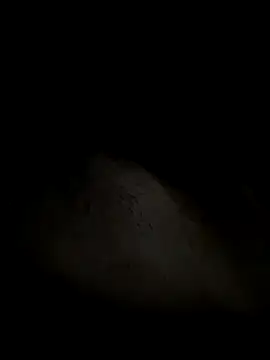 Snapshot of leiteiro2002 chatting on October 25, 2025, 2:41 am leiteiro2002 online show from October 25, 2025, 2:41 am