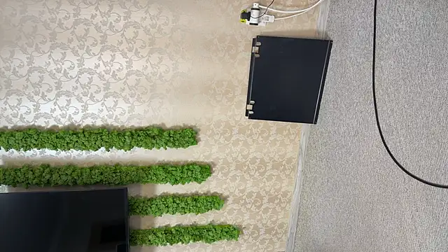 OliviaCart online show from April 10, 2026, 2:11 pm