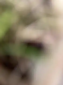 patrik9991 online show from April 2, 2026, 1:42 pm