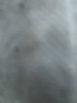 Hottypriya69 online show from November 2, 2025, 2:41 pm