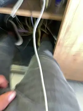 arasazgin online show from March 18, 2026, 12:19 pm