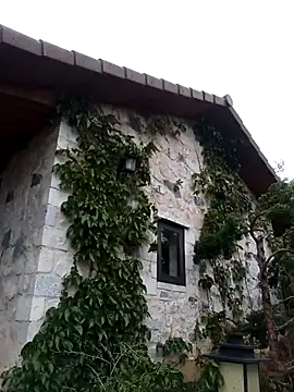 siusiu-00 online show from April 1, 2026, 8:26 am