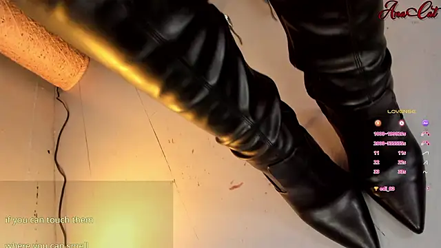 ana cat online show from March 11, 2026, 3:51 pm