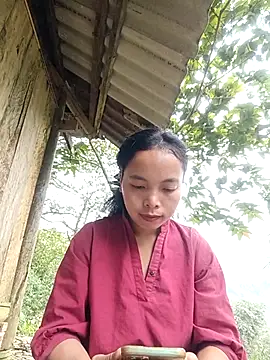 Snapshot of Nguyet2k4 chatting on November 24, 2025, 1:49 am Nguyet2k4 online show from November 24, 2025, 1:49 am