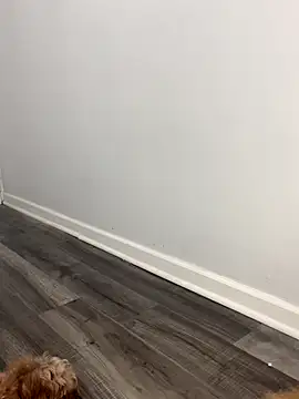 shantallroos online show from November 28, 2025, 9:28 pm