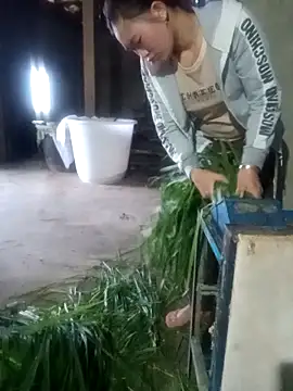 Snapshot of Myzak- chatting on February 12, 2026, 11:55 pm Myzak- online show from February 12, 2026, 11:55 pm