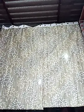 Rajni chauhan online show from December 15, 2025, 4:11 pm