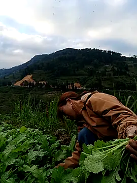 omai-ngot online show from November 22, 2025, 9:19 am