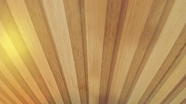 mia  blaze   online show from January 13, 2026, 3:01 am