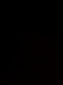 roludao fun online show from November 17, 2025, 12:55 pm