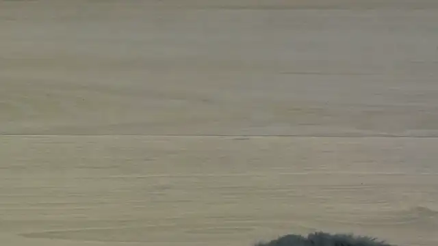 KimWilmes online show from December 14, 2025, 4:40 am