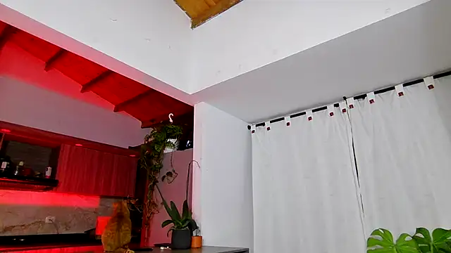 valeriahornier online show from May 26, 2026, 2:40 am