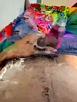 kumarstelugu online show from March 25, 2026, 4:13 pm