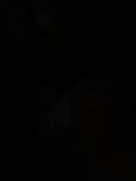 Snapshot of wellingtonmds chatting on February 7, 2026, 1:26 pm wellingtonmds online show from February 7, 2026, 1:26 pm