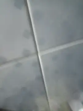 INTIMACY123 online show from November 3, 2025, 2:57 am