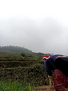 Snapshot of kokoto-59 chatting on March 11, 2026, 1:33 am kokoto-59 online show from March 11, 2026, 1:33 am