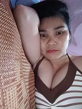 Bear bear0 online show from July 3, 2026, 5:58 am