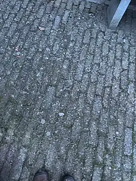 Snapshot of bart98geil chatting on February 14, 2026, 6:54 am bart98geil online show from February 14, 2026, 6:54 am