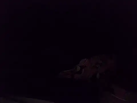 boldiva89 online show from October 25, 2025, 1:35 am