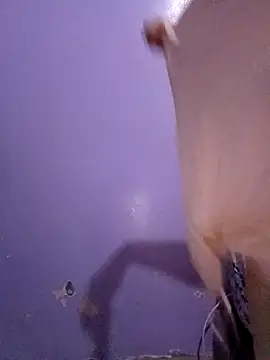 ArabianRose  online show from March 10, 2026, 7:52 pm