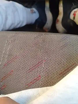 Snapshot of 666Daemon666 chatting on January 17, 2026, 11:19 pm 666Daemon666 online show from January 17, 2026, 11:19 pm