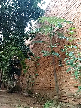 Jorgebenitez 1 online show from October 28, 2025, 2:20 pm