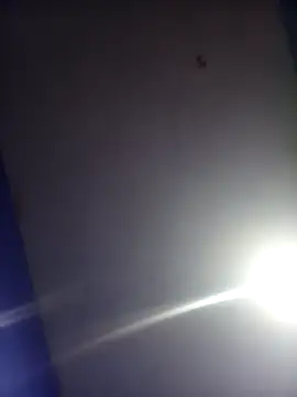 HSexy Men00 online show from November 26, 2025, 8:59 am