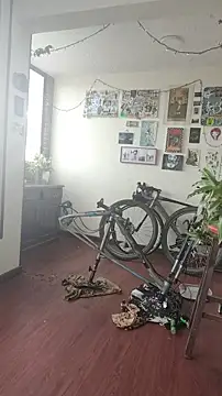 Neciaa online show from April 8, 2026, 9:15 pm