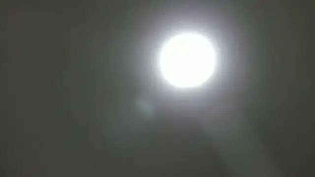  Asshley bensoon  online show from November 5, 2025, 2:39 pm