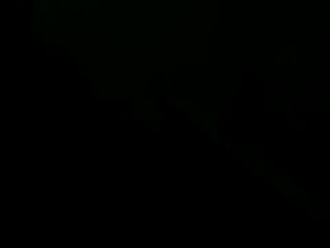 Snapshot of giovanift111 chatting on October 29, 2025, 11:17 pm giovanift111 online show from October 29, 2025, 11:17 pm