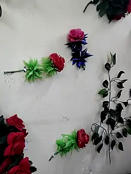 Indian-Glory online show from December 13, 2025, 7:53 pm