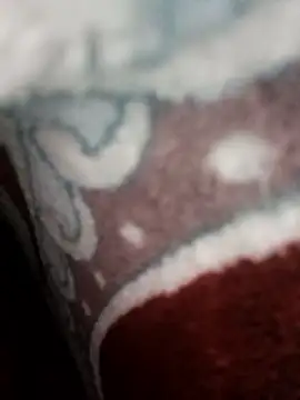 bigtelugubhama online show from November 22, 2025, 11:09 am