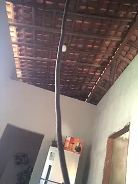 Ralf2011 online show from December 4, 2025, 5:54 pm