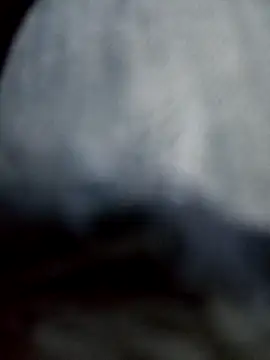 Snapshot of negro2828 chatting on October 27, 2025, 10:58 pm negro2828 online show from October 27, 2025, 10:58 pm