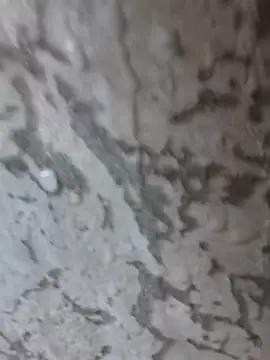 Snapshot of 3zekie1 chatting on October 28, 2025, 2:20 pm 3zekie1 online show from October 28, 2025, 2:20 pm