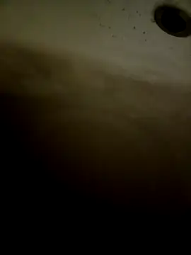 pino870 online show from February 11, 2026, 12:32 pm