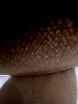 pino870 online show from March 3, 2026, 11:54 pm